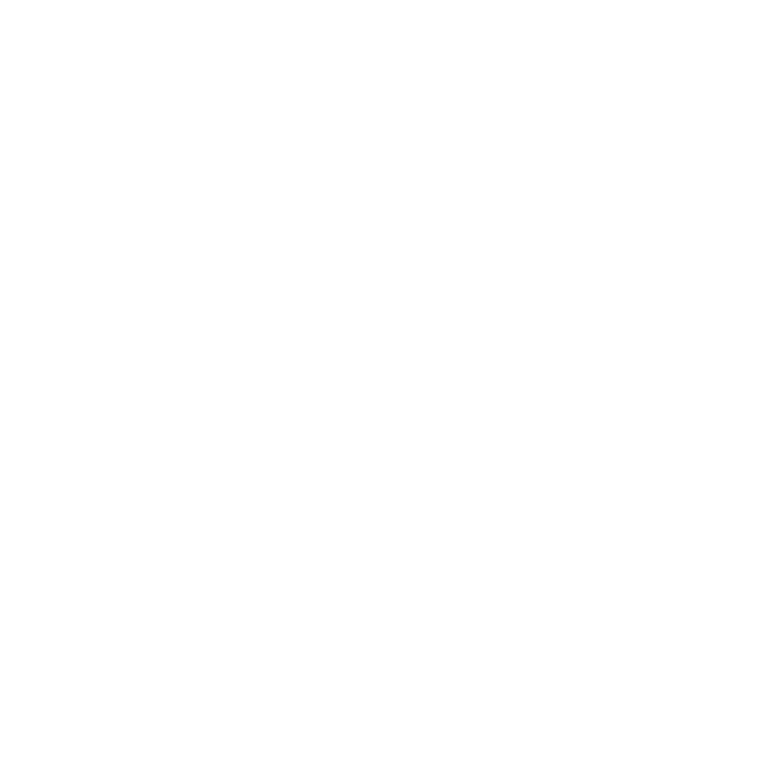 STEIN