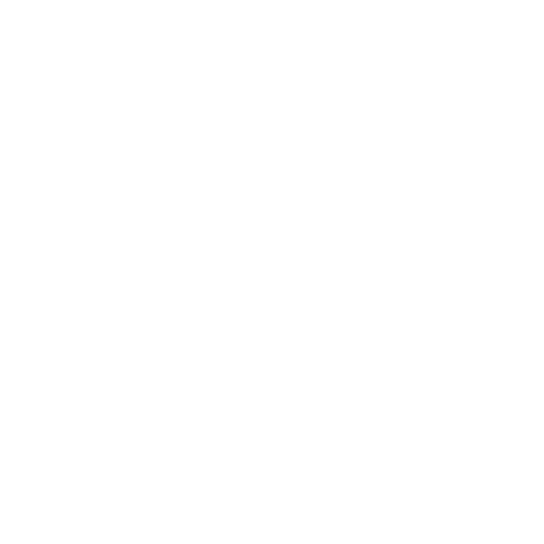 Never Let Go